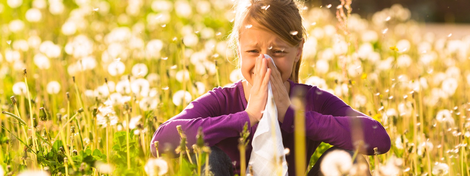 Mejore la calidad de vida